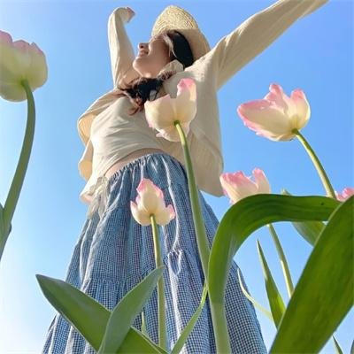 青春派 在线观看