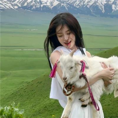 最佳拍档4：千里救差婆 在线观看